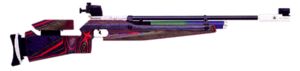 FWB P70 Air rifle