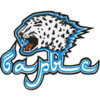 Official Website