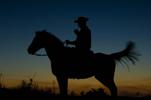traditional Gaucho drinking Mate on his horse.