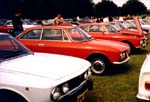 GTV's at 'Alfas in Clover'  - Mine is the red one in the centre