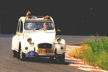 w46x