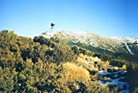 Pietrosu, december 2000