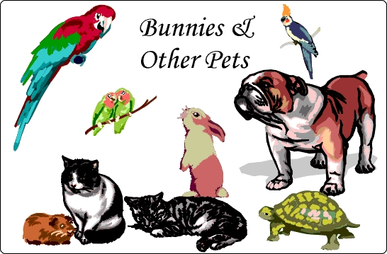 Rabbits & Other Pets