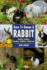 Guide to keeping rabbits
