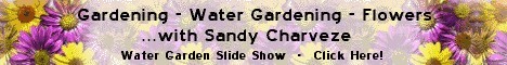 Sandy's Slide Show Banner
