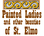 PAINTED LADIES AND OTHER BEAUTIES OF ST. ELMO