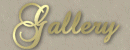 Gallery.gif