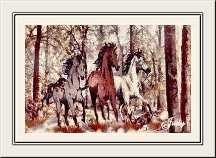 art5.jpg (53319 bytes)