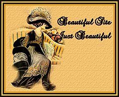 card21.jpg (21148 bytes)