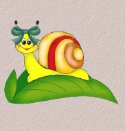 snail.jpg (9472 bytes)
