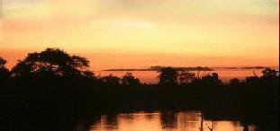 Kruger Sunset