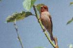 natu_2030_16.jpg