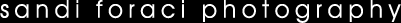 sandiforaci.gif (2521 bytes)