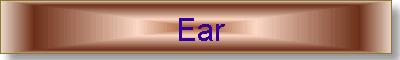 Ear