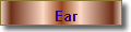 Ear