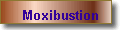Moxibustion