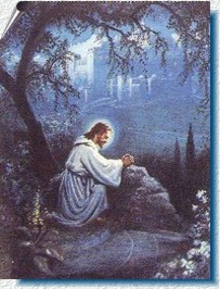 Hora Santa Eucar�stica
