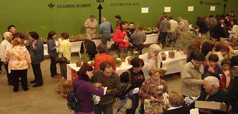 Venta y exposicion 2� Congreso de Plantas Suculentas, Cheste, Valencia. La evolucion conjunta entre plantas y su micorriza han tienen diferentes niveles de interdependencia en todas las Angiospermas y 1/3 de estas son Suculentas.