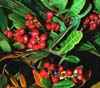 http://www.botanical-online.com/