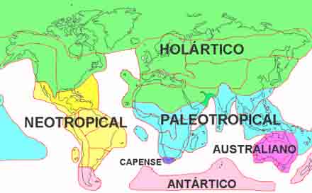 Zonas floristicas del Mundo