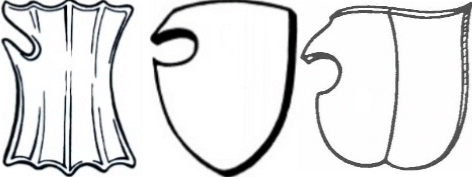 an early shield with a lance rest (left) and a degenerating style