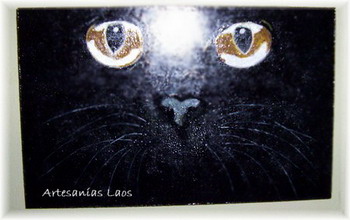 Ojos de gato