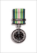 active_service_medal_75-.jpg