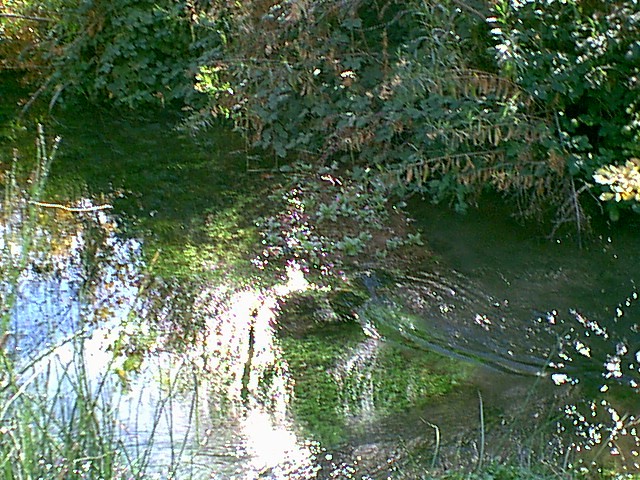 Image - campground02.jpg