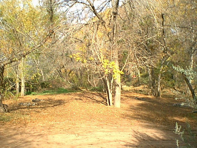 Image - campground03.jpg