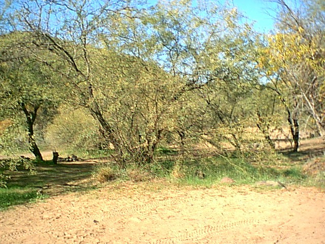 Image - campground05.jpg