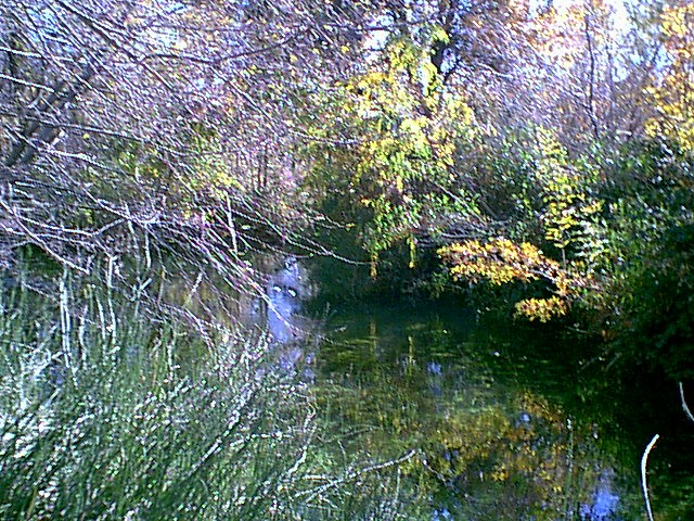 Image - campground07.jpg