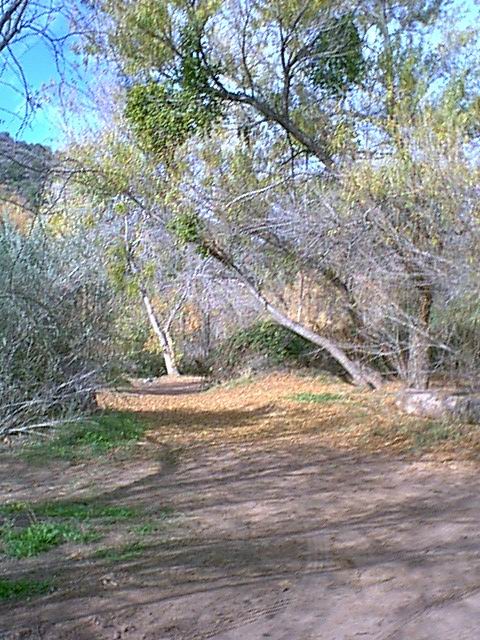 Image - campground09.jpg