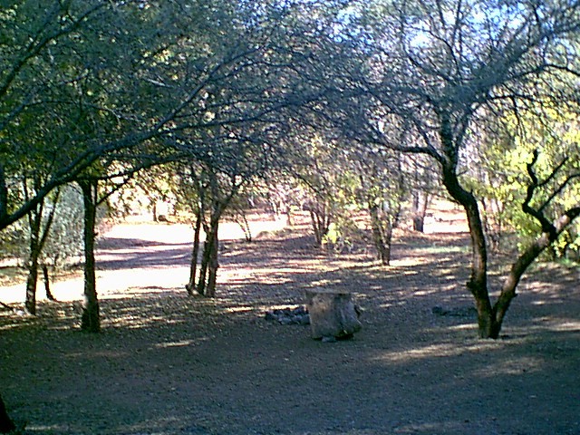 Image - campground10.jpg