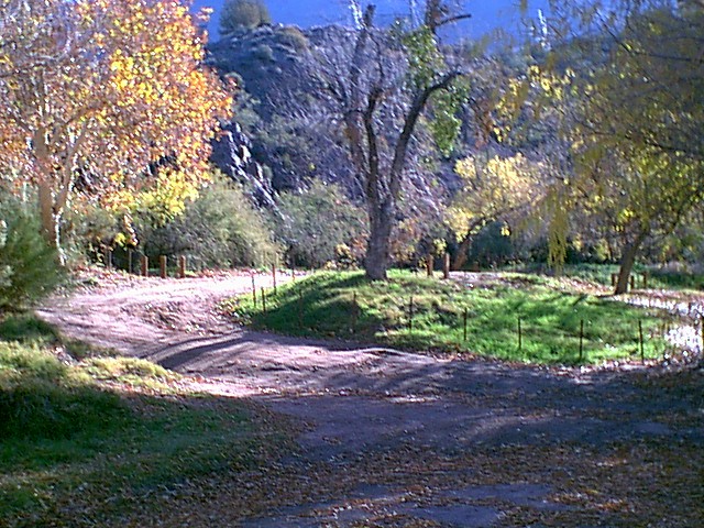 Image - campground13.jpg