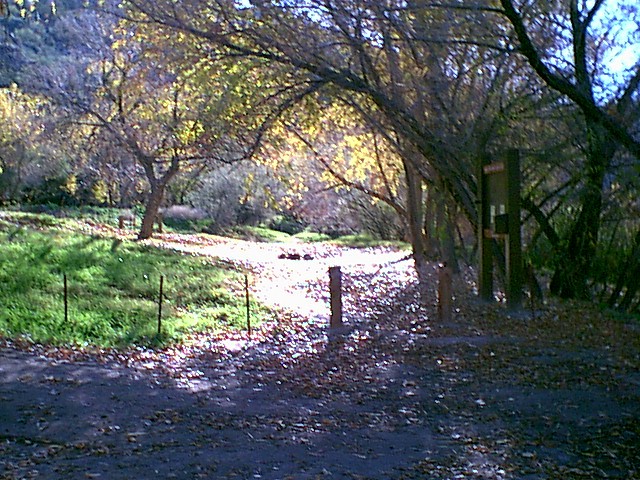 Image - campground14.jpg