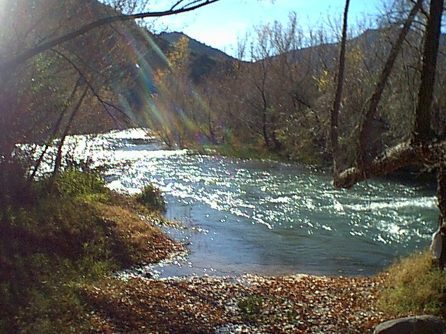 Image - campground16.jpg