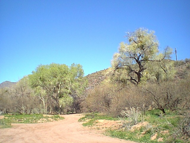 Image - campground18.jpg