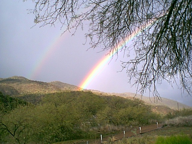 Image - rainbows34.jpg