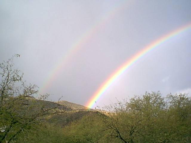 Image - rainbows35.jpg