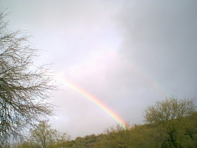 Image - rainbows36.jpg