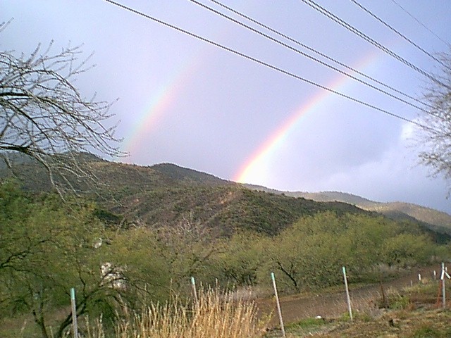 Image - rainbows37.jpg