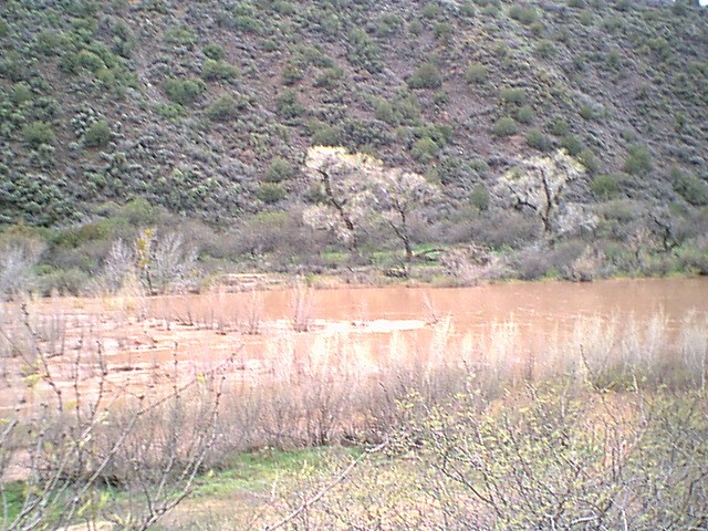 Image - springflood009.jpg