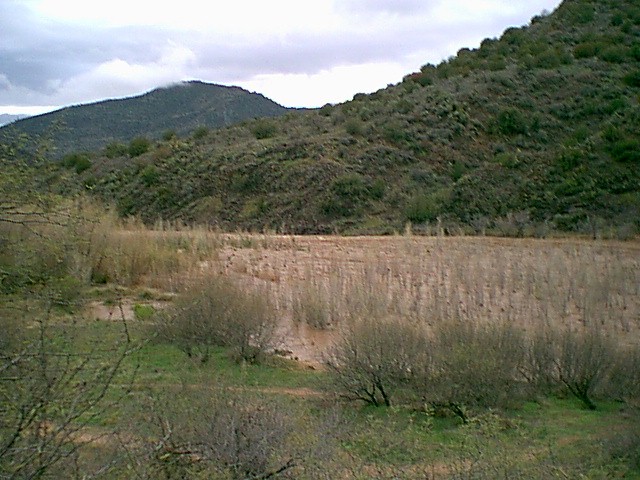 Image - springflood010.jpg