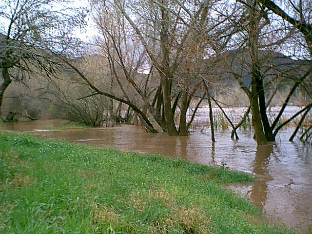 Image - springflood014.jpg