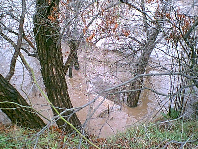 Image - springflood018.jpg