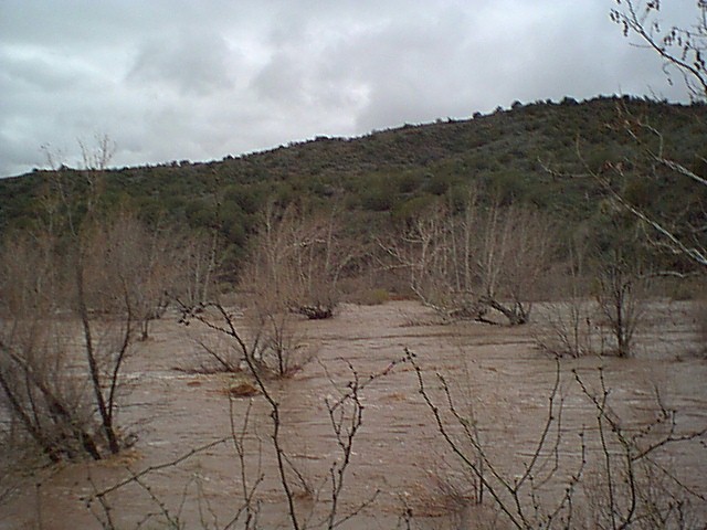 Image - springflood021.jpg