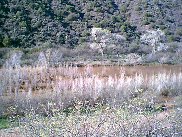 Image - springflood023.jpg
