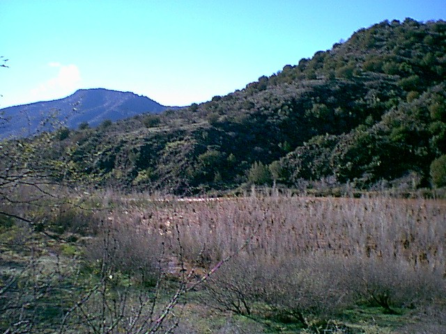 Image - springflood024.jpg