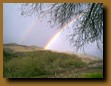 -Click image for full size view-