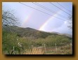 -Click image for full size view-
